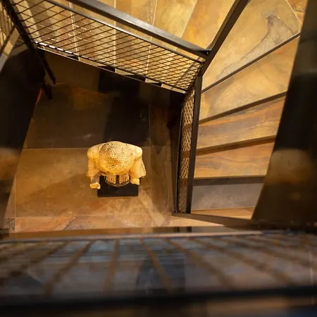 Nocleg ze śniadaniem & Breakfast Havilland